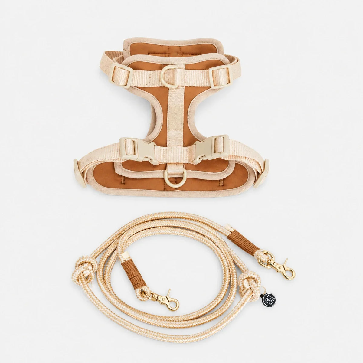 Adjustable Padded Dog Harness with Matching Hardware and Quick Buckles