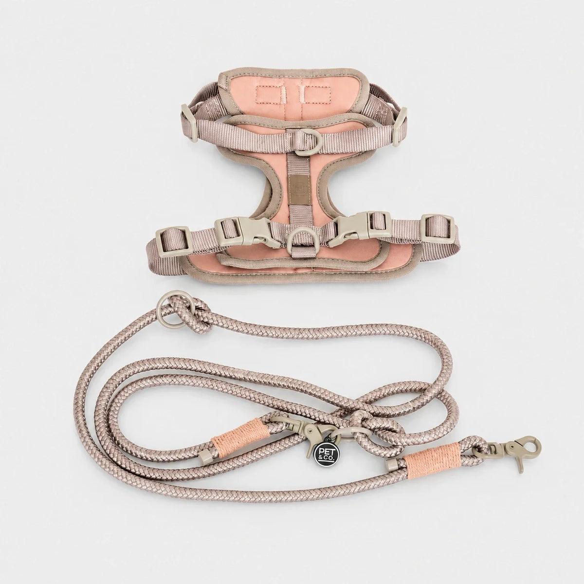 Adjustable Padded Dog Harness with Matching Hardware and Quick Buckles