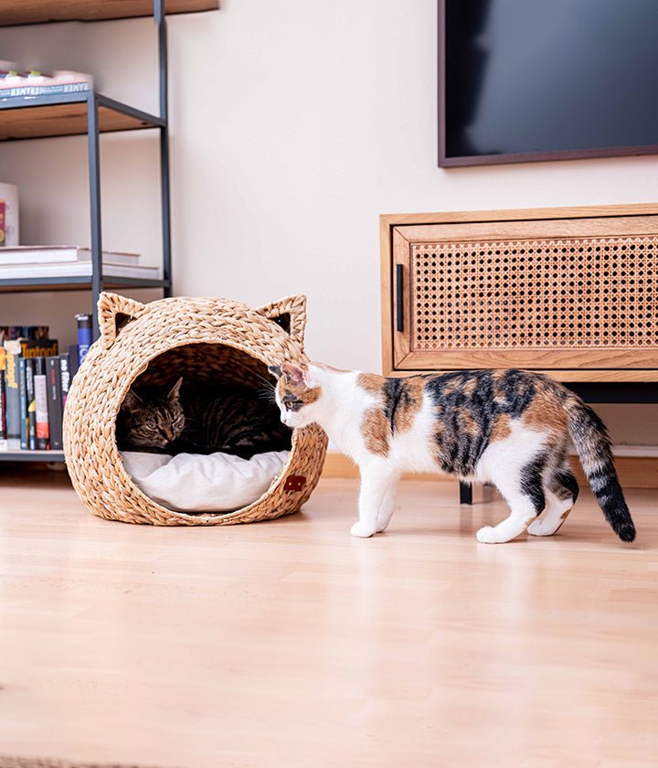 Natuurlijk geweven kattenholbed met oren en zacht kussen