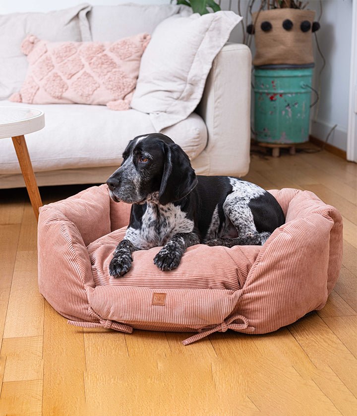 Weiches Cord-Hundebett mit Rand und waschbarem Memory-Foam-Kissen
