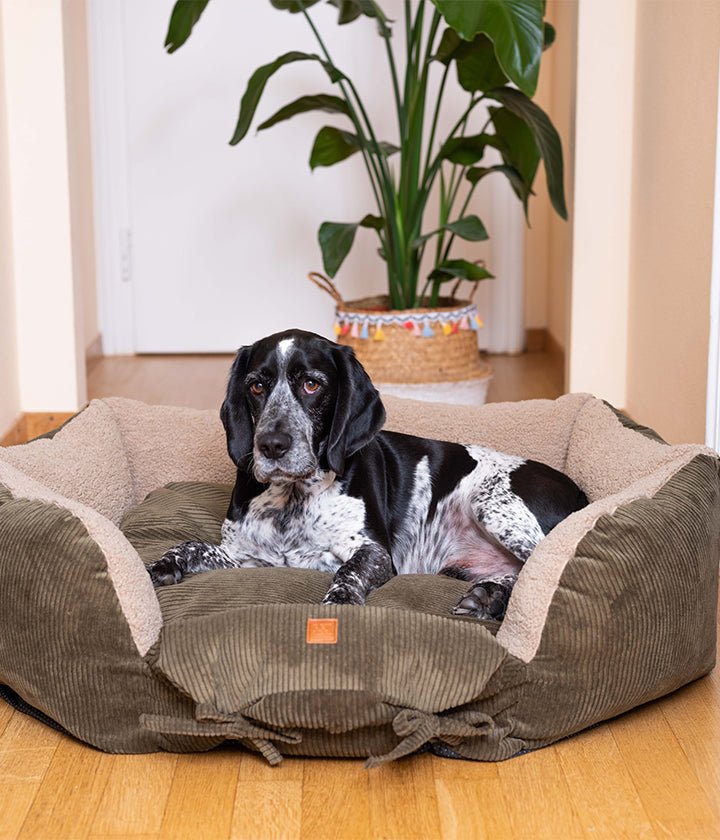 Comodo lettino cilindrico per cani in velluto a coste con imbottitura in scaglie di memory foam