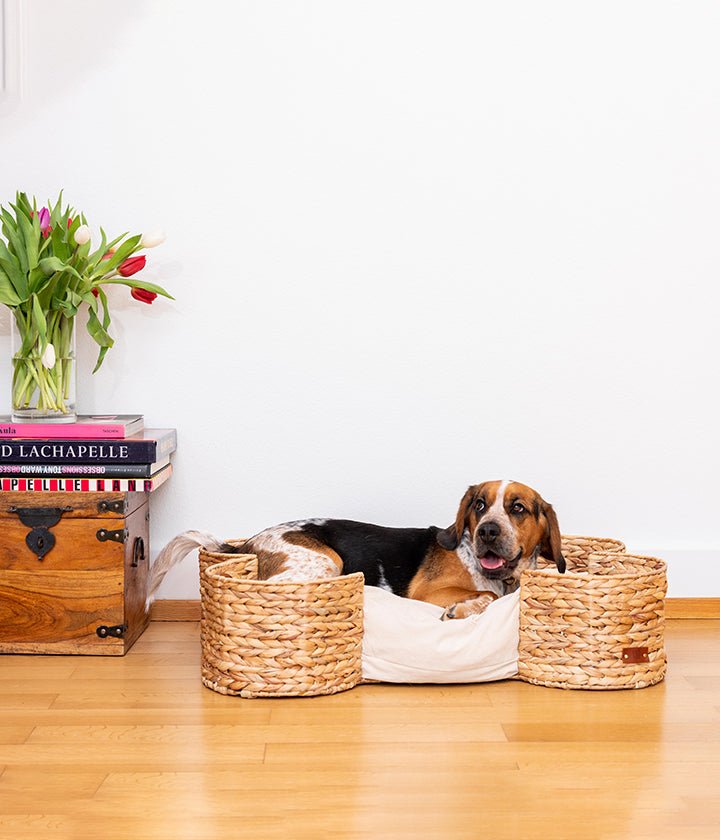Lit pour chien en forme d’os en jacinthe d’eau tressée naturelle avec coussin