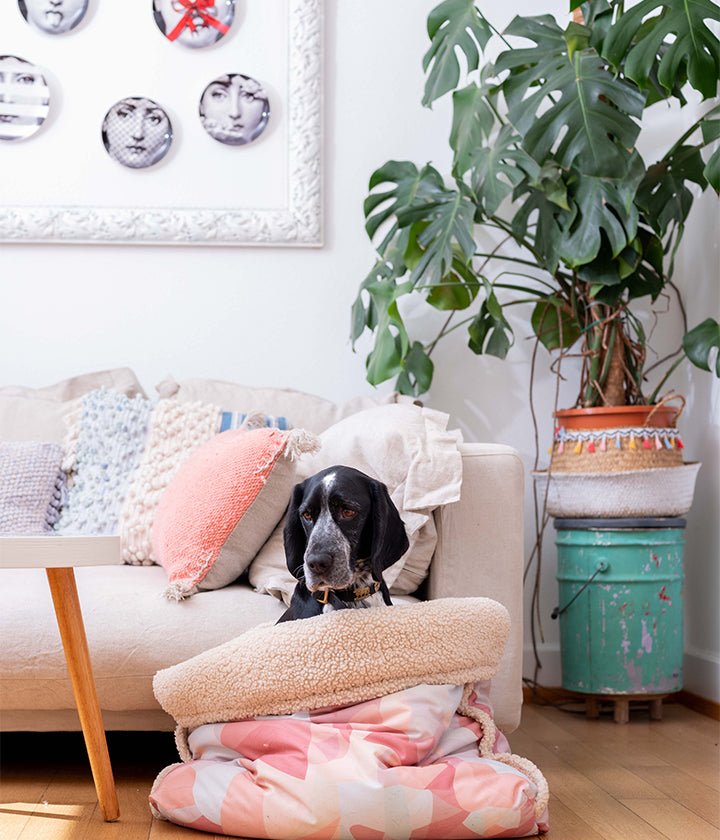 Pink Patterned Canvas Dog Sleeping Bag with Soft Teddy Lining