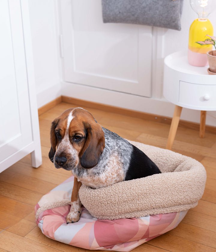 Sacco a pelo per cani in tela rosa fantasia con morbida fodera in peluche