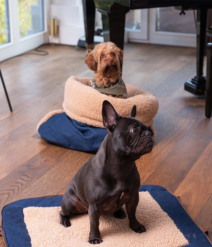Blaue Reise-Hundematte aus Denim zum Aufrollen mit Teddyfutter