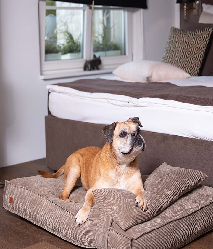 Weiche Cord-Hundematratze mit Memory-Schaum und abnehmbarer Kopfstütze