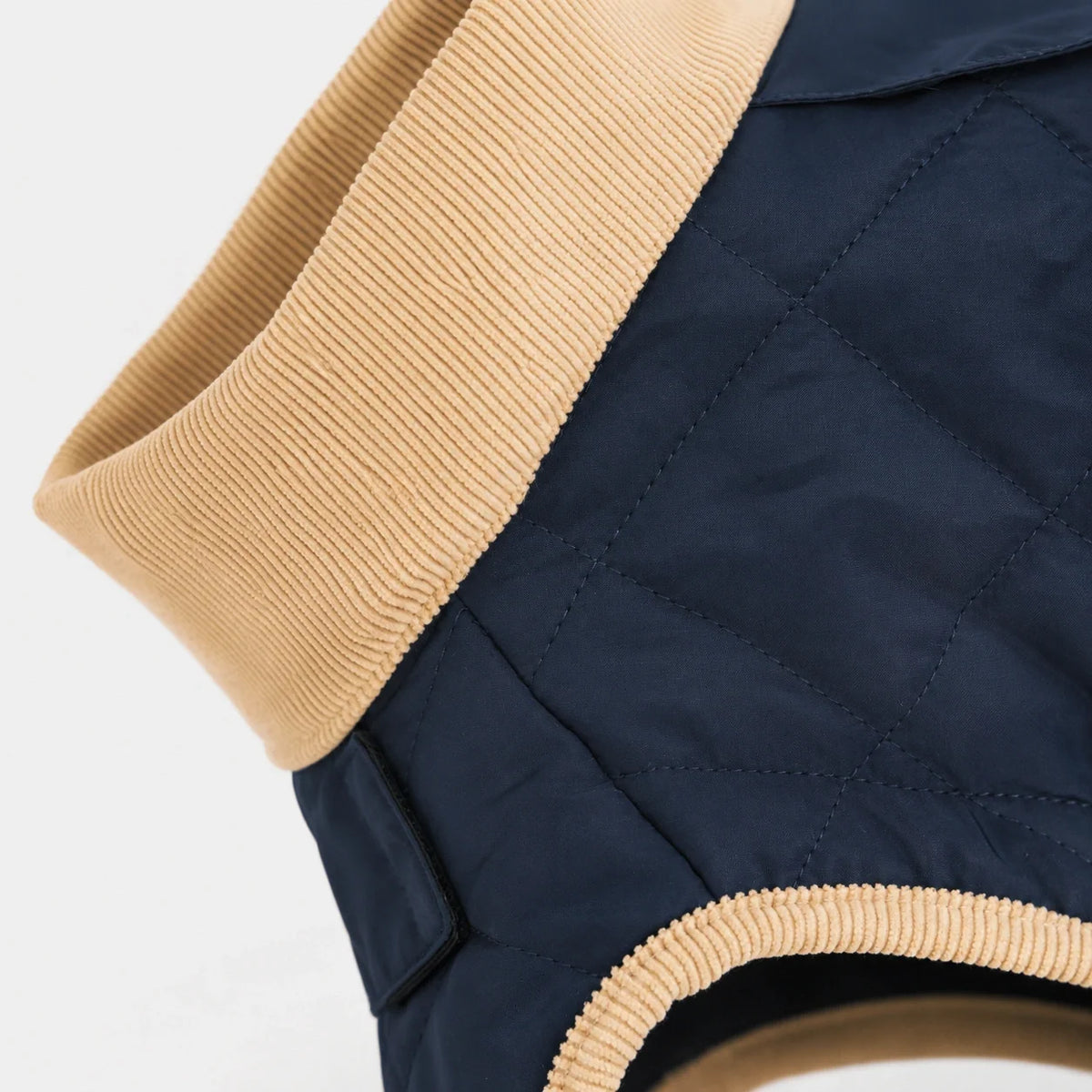 Waterproof Quilted Dog Coat with Adjustable Fit and Contrast Trim