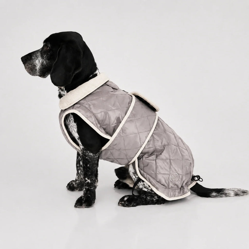 Waterproof Quilted Dog Coat with Adjustable Fit and Contrast Trim