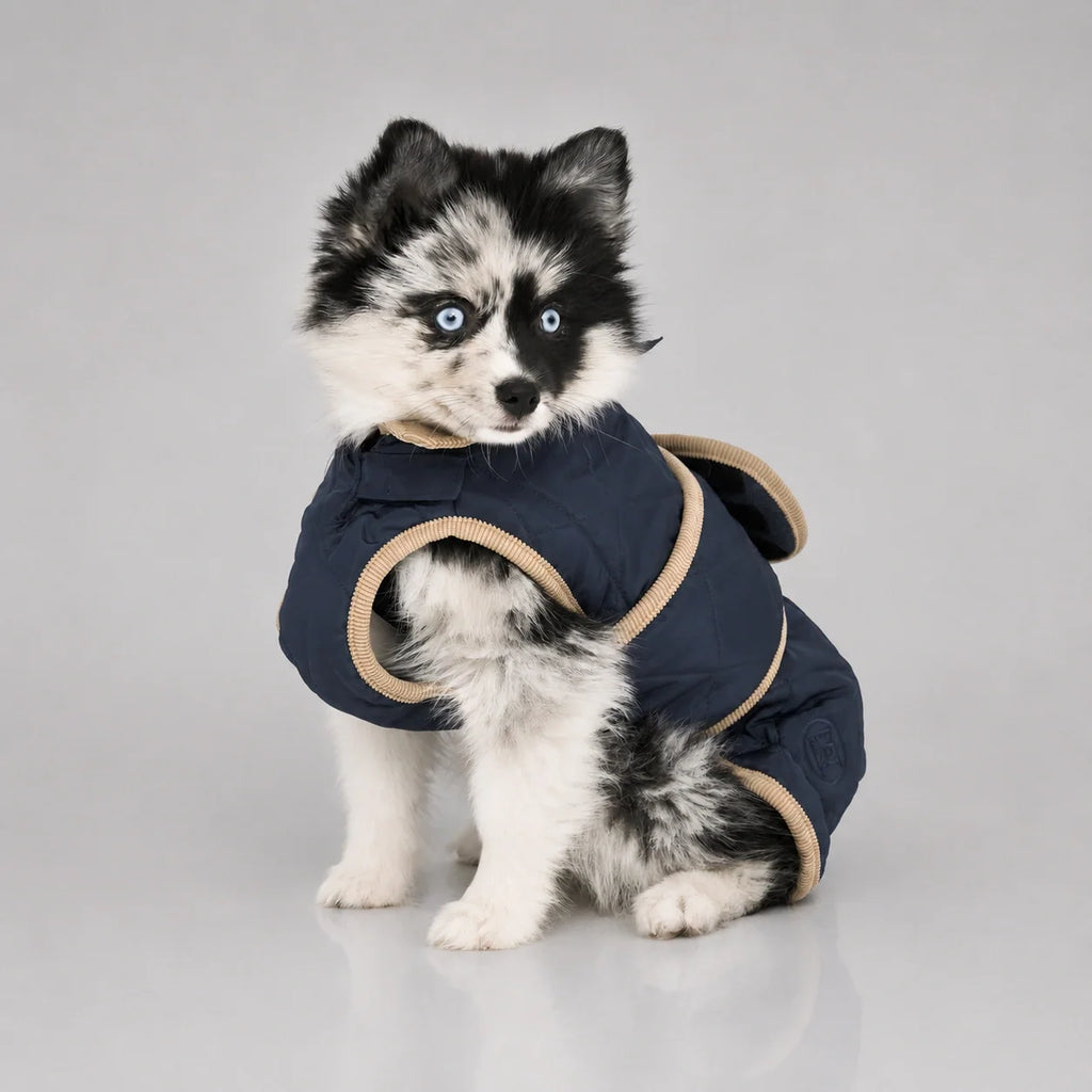 Waterproof Quilted Dog Coat with Adjustable Fit and Contrast Trim
