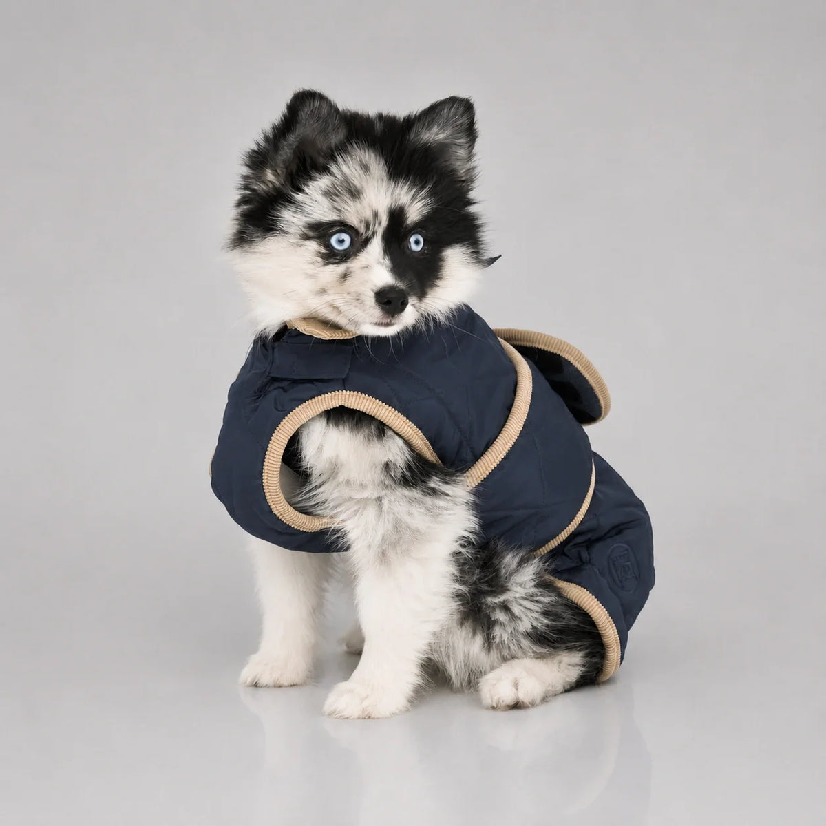 Waterproof Quilted Dog Coat with Adjustable Fit and Contrast Trim