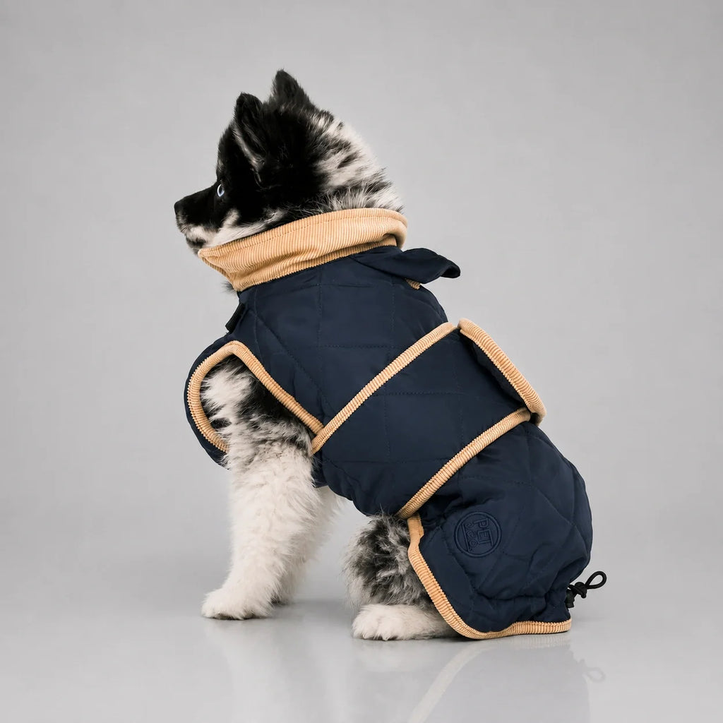 Waterproof Quilted Dog Coat with Adjustable Fit and Contrast Trim