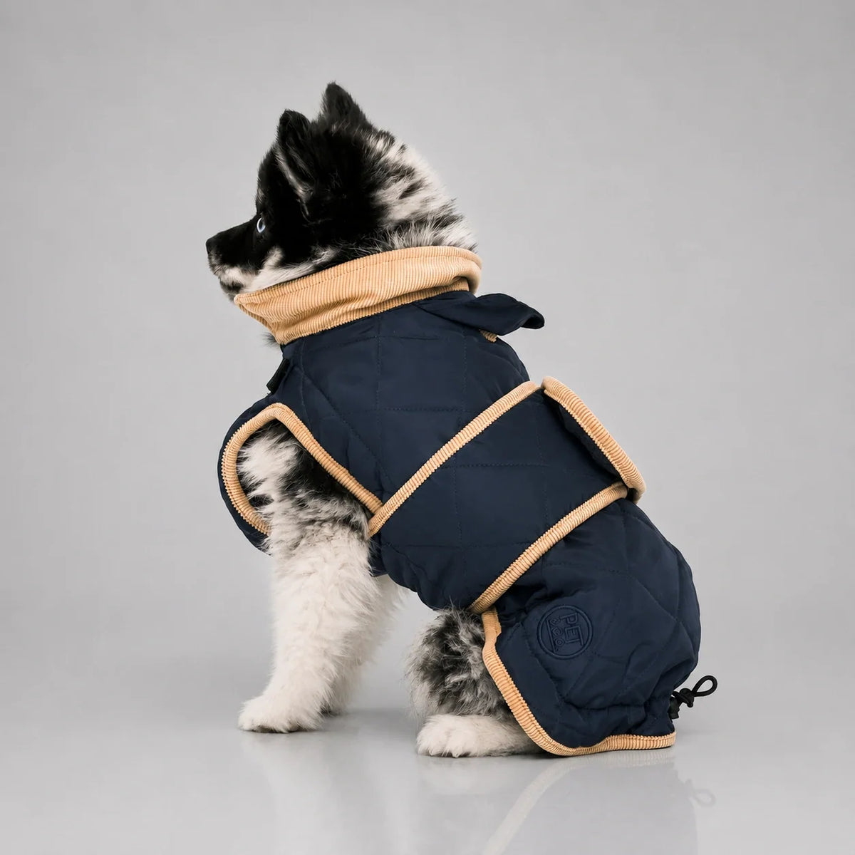 Waterproof Quilted Dog Coat with Adjustable Fit and Contrast Trim
