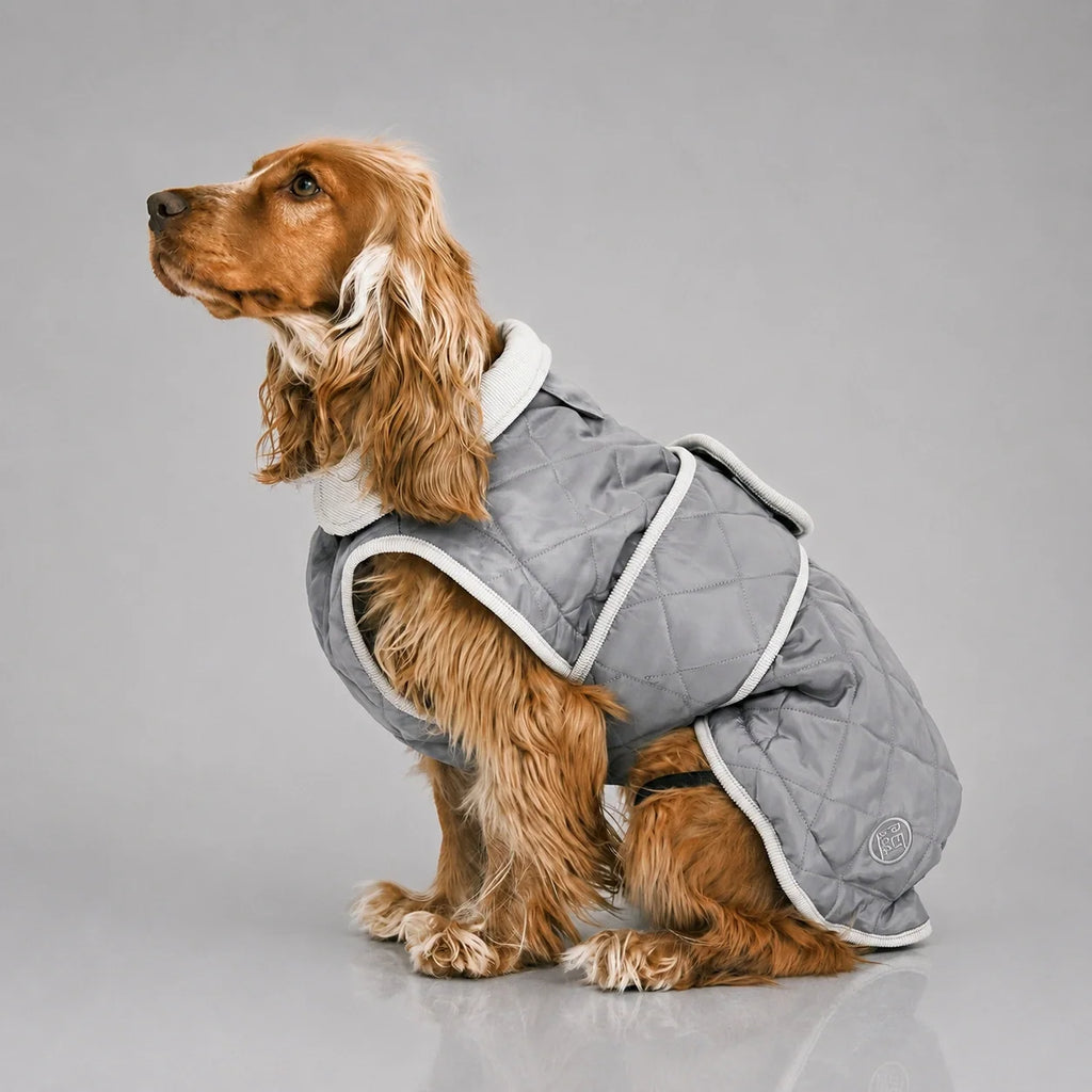 Waterproof Quilted Dog Coat with Adjustable Fit and Contrast Trim