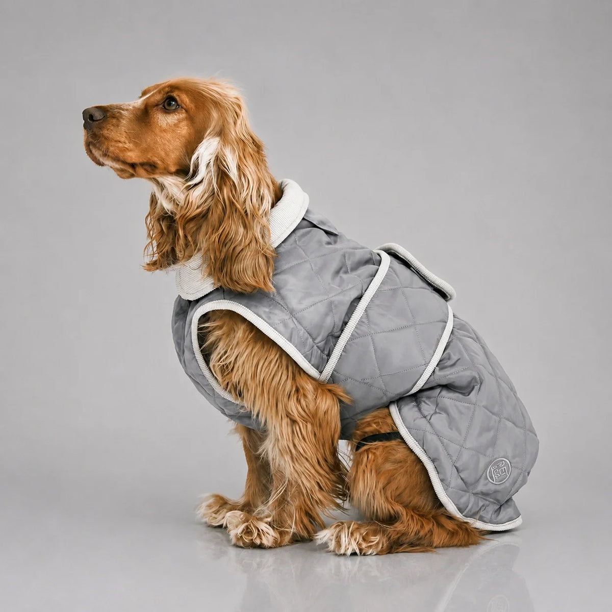 Waterproof Quilted Dog Coat with Adjustable Fit and Contrast Trim