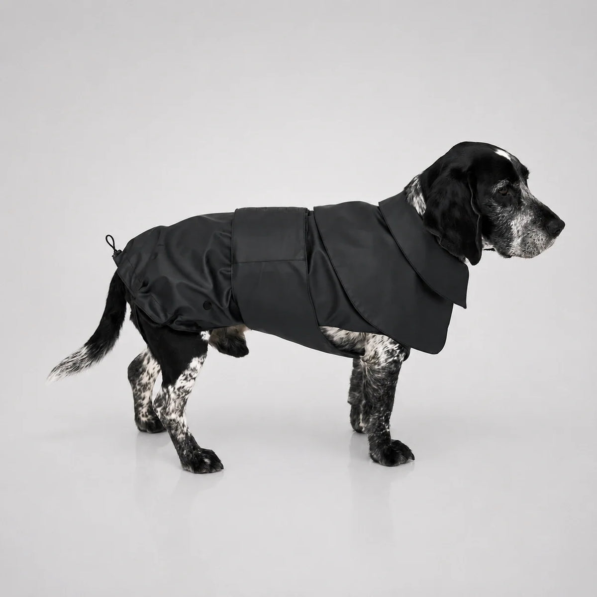 Waterproof Dog Raincoat with Adjustable Fit and Soft Inner Lining