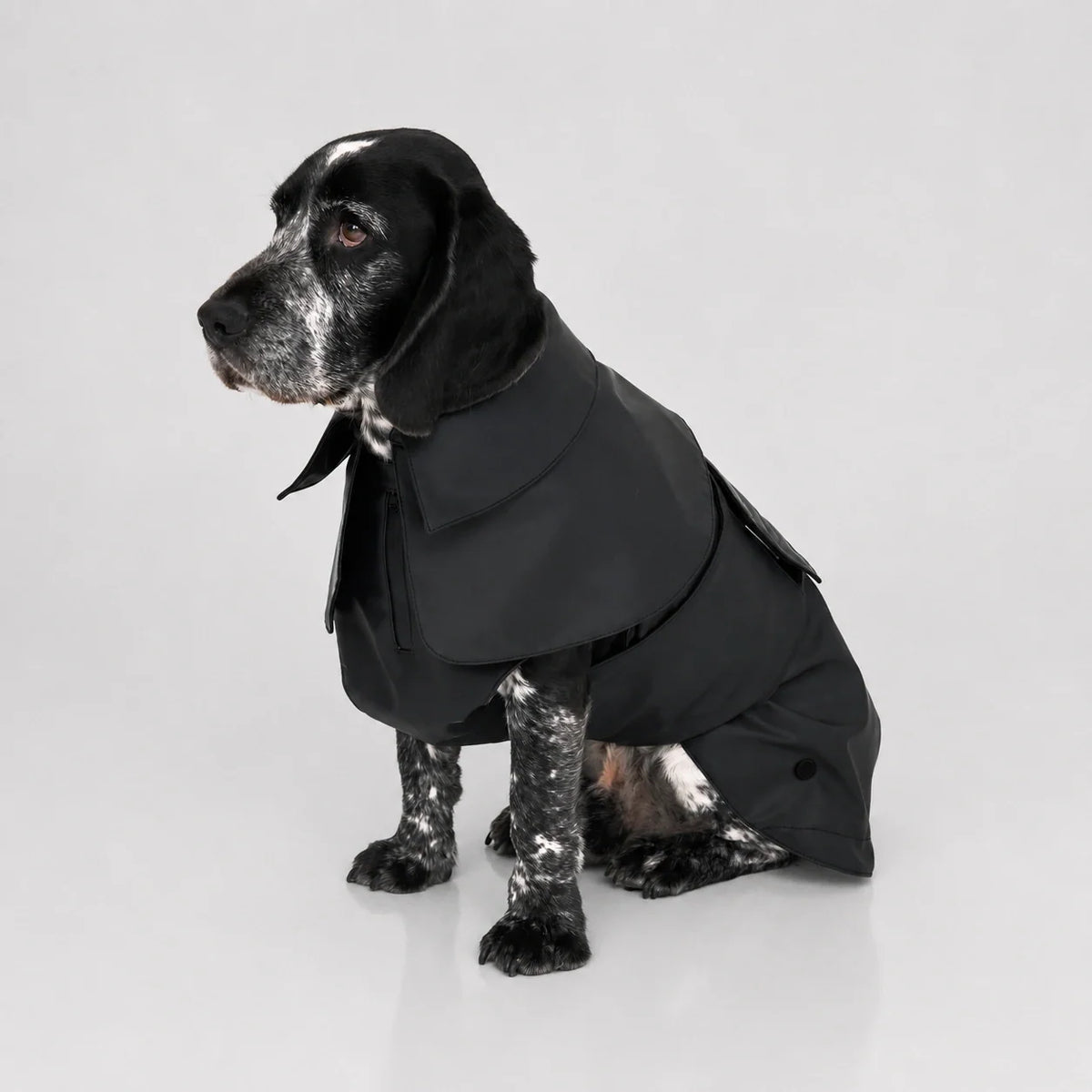 Waterproof Dog Raincoat with Adjustable Fit and Soft Inner Lining