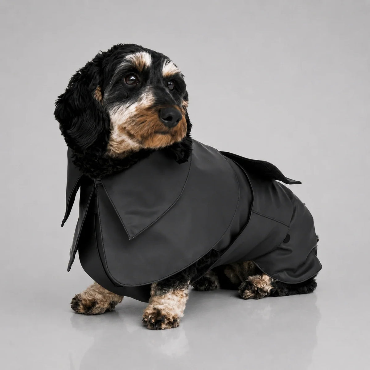 Waterproof Dog Raincoat with Adjustable Fit and Soft Inner Lining