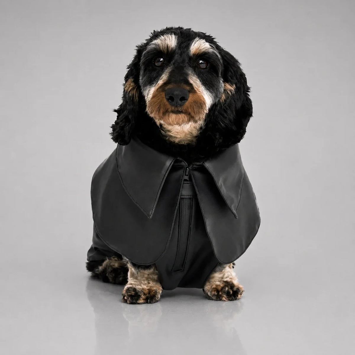 Waterproof Dog Raincoat with Adjustable Fit and Soft Inner Lining