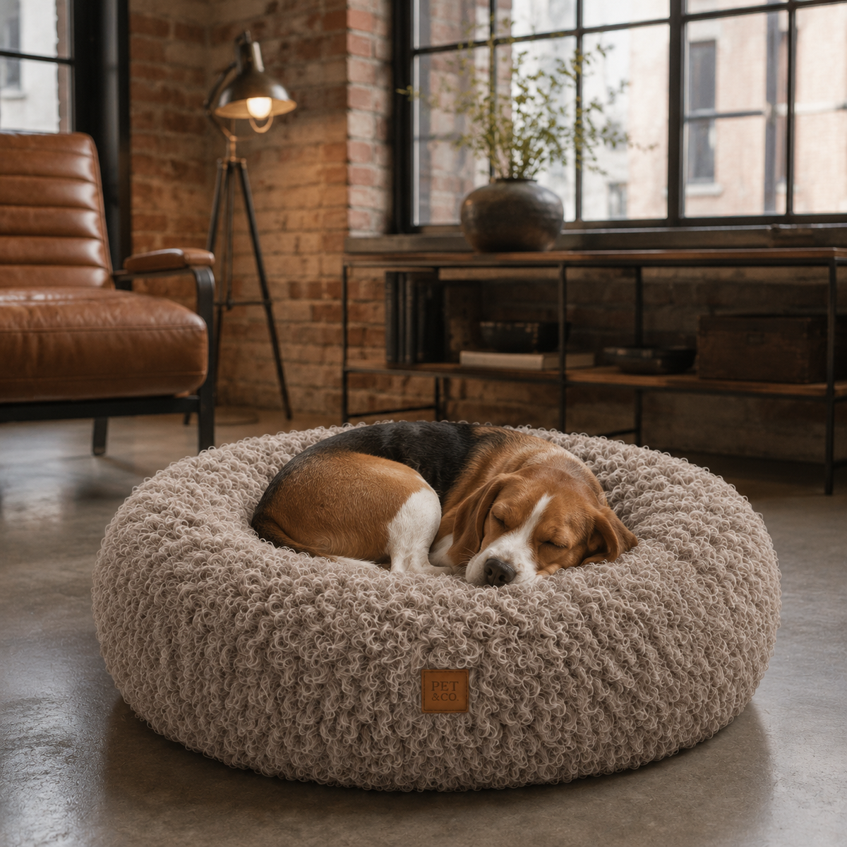 Weiches, lockiges Plüsch-Donut-Hundebett mit Memory-Foam-Füllung