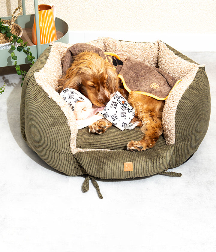Comodo lettino cilindrico per cani in velluto a coste con imbottitura in scaglie di memory foam