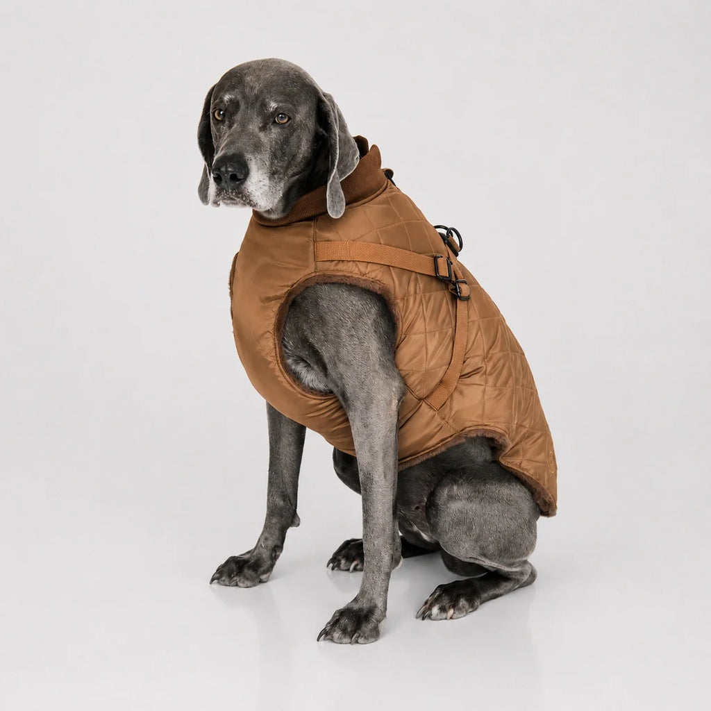 Waterproof Quilted Dog Coat with Adjustable Harness and Soft Lining