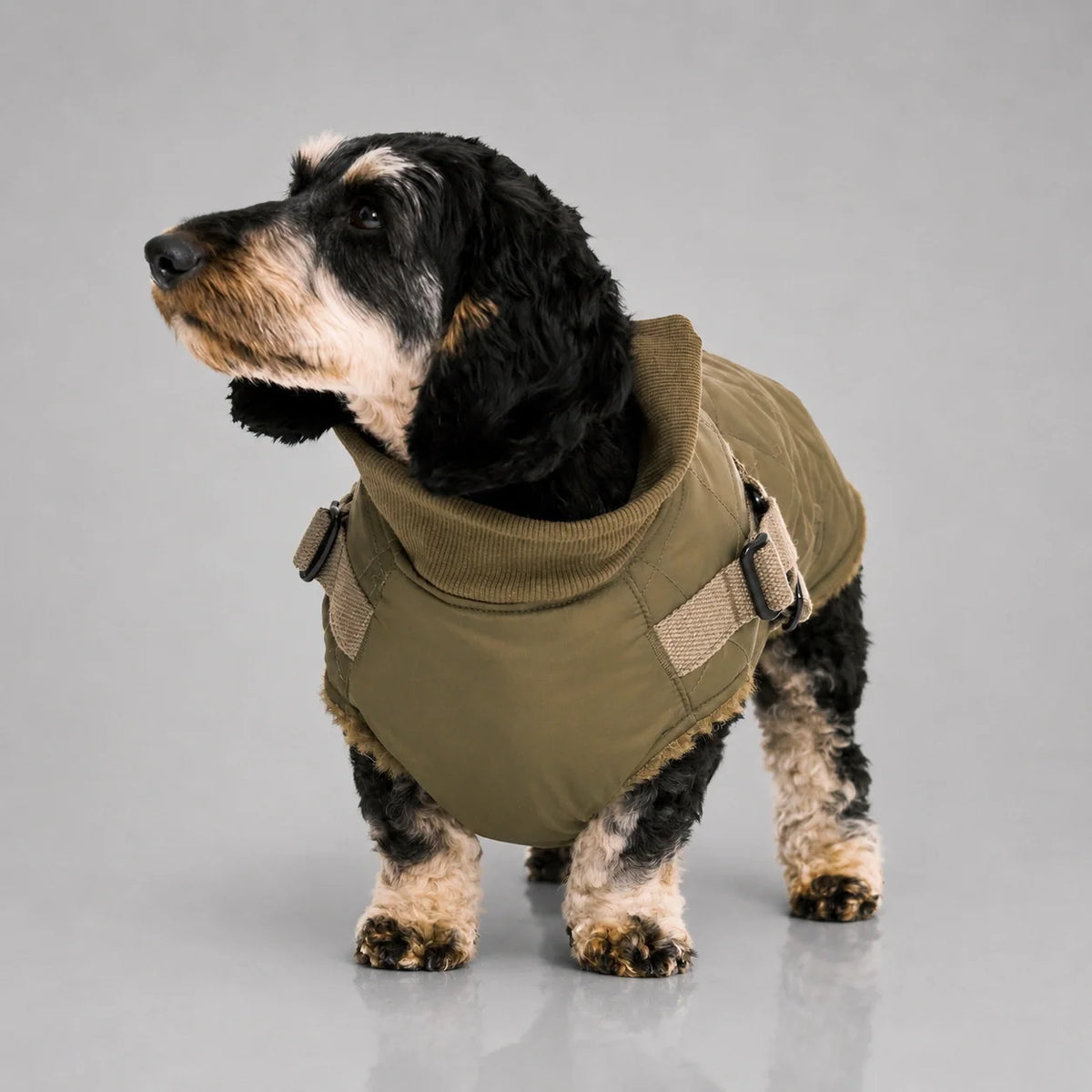 Waterproof Quilted Dog Coat with Adjustable Harness and Soft Lining