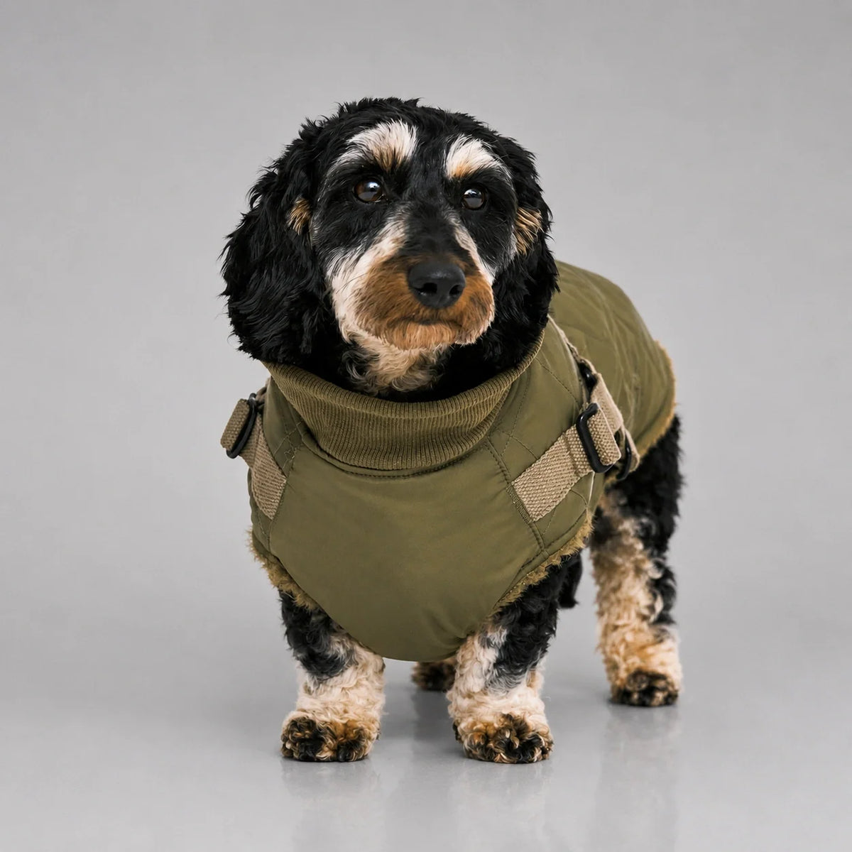 Waterproof Quilted Dog Coat with Adjustable Harness and Soft Lining