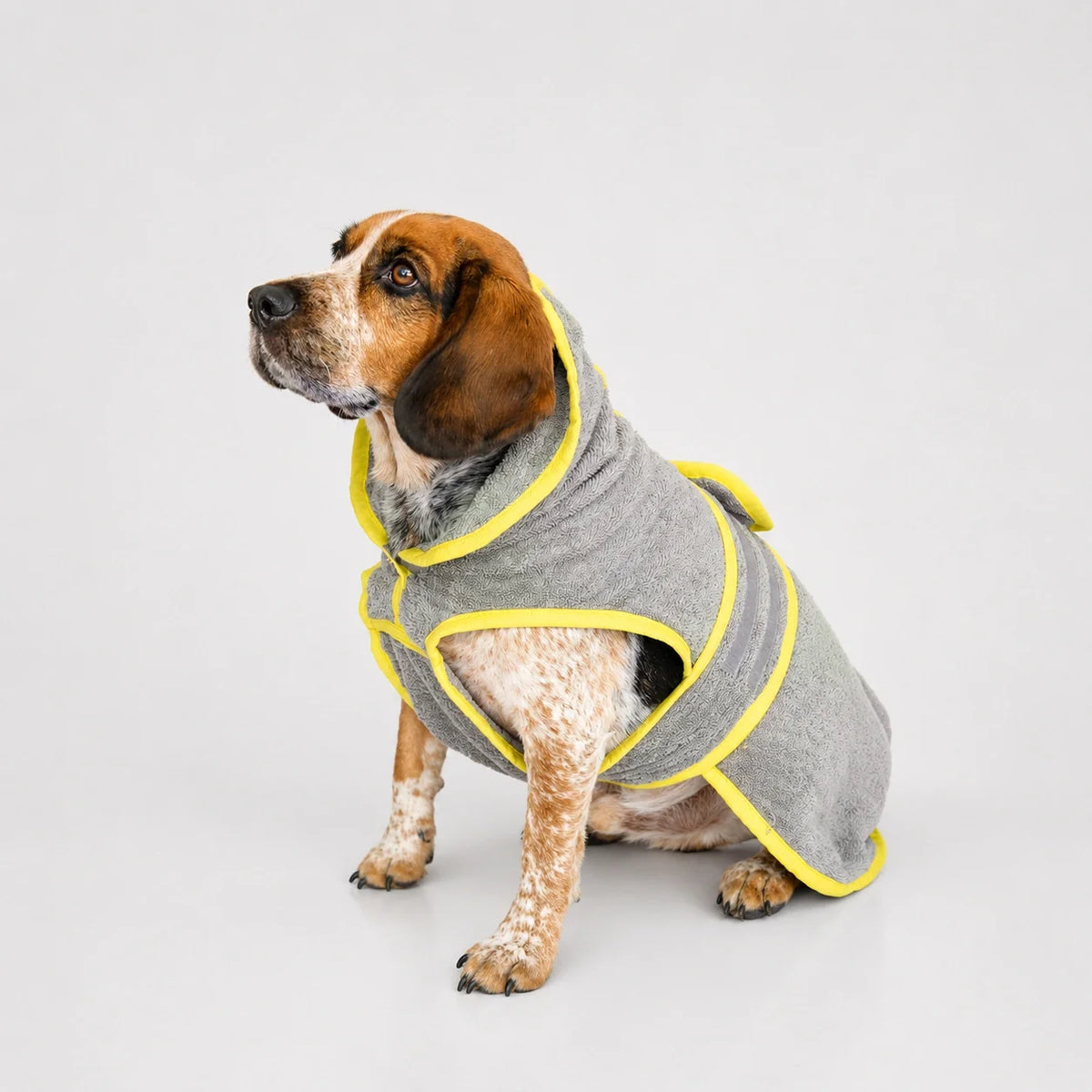 Soft Organic Cotton Dog Bathrobe with Adjustable Strap and Contrast Trim