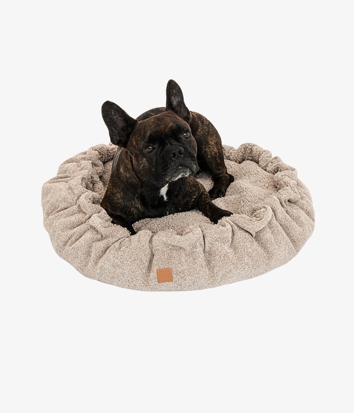 Weiches, rundes Hundebett mit Rüschen und kuscheliger Memory-Foam-Polsterung