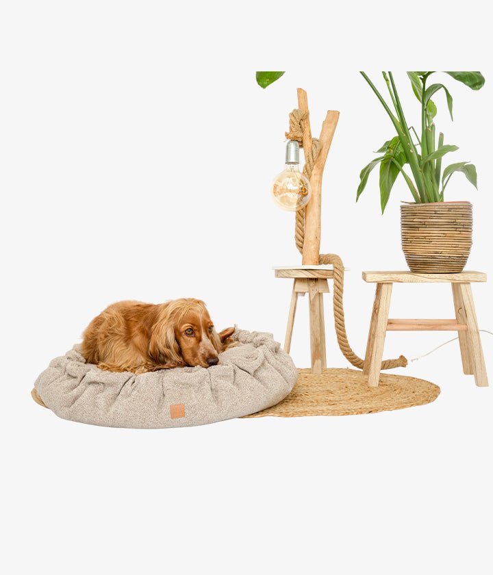 Weiches, rundes Hundebett mit Rüschen und kuscheliger Memory-Foam-Polsterung