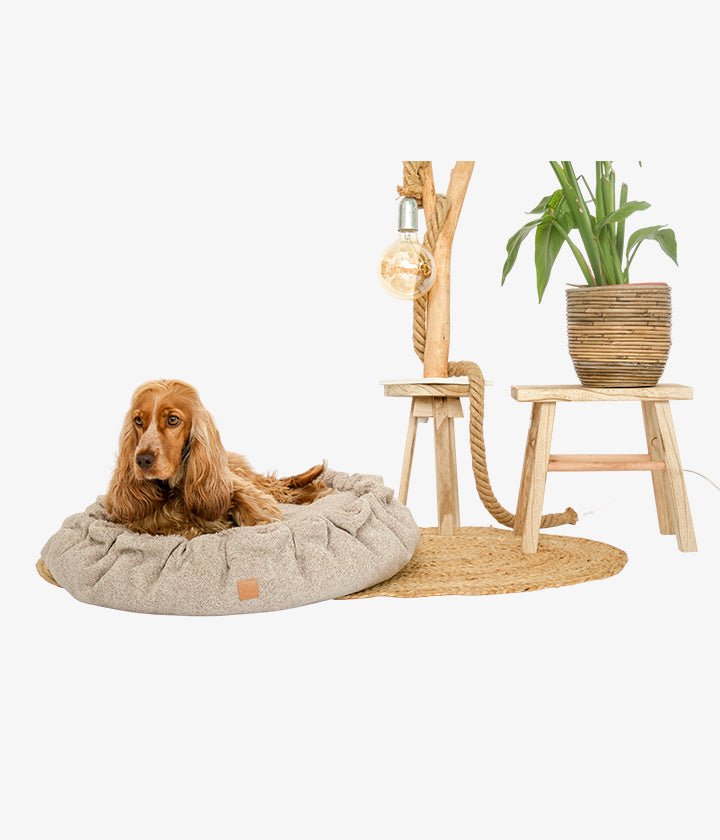 Weiches, rundes Hundebett mit Rüschen und kuscheliger Memory-Foam-Polsterung