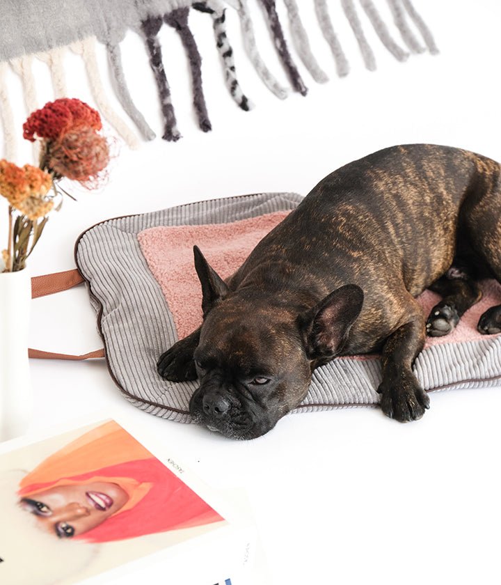 Weiche, faltbare Hundereisematte aus Cord mit kuscheligem Teddyfutter