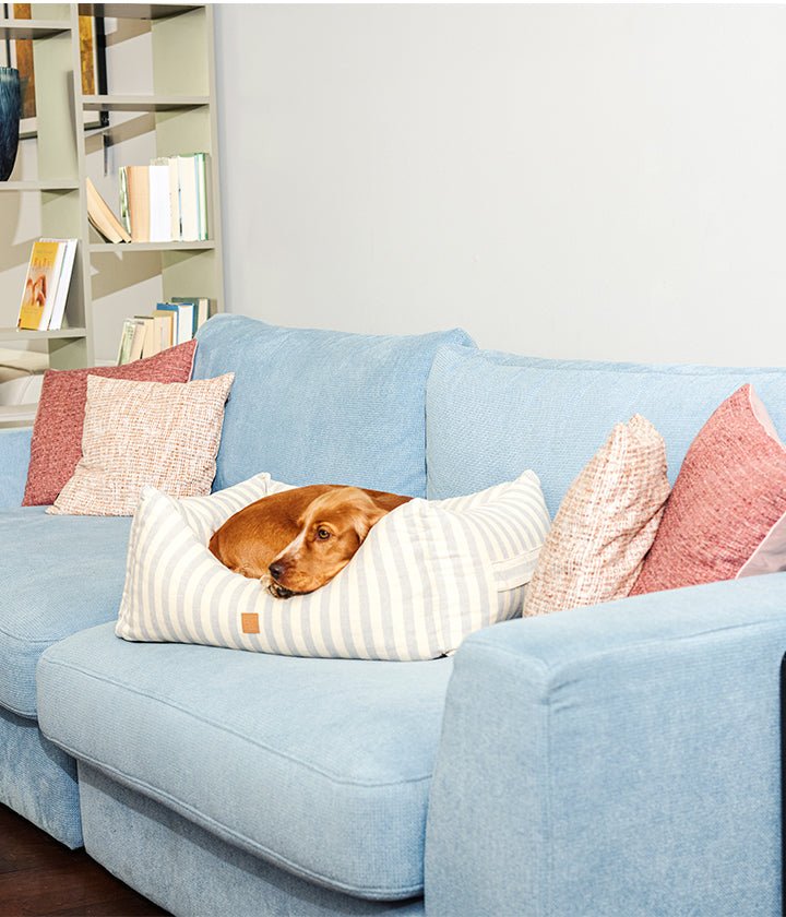 Gestreiftes Hundebett aus Baumwoll-Canvas mit Memory-Schaum-Füllung